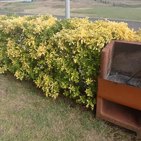 Bajo Con Jardin Appartamento *